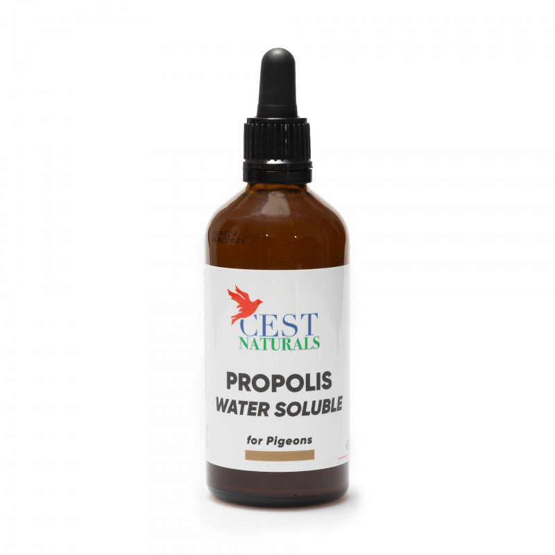 Propolis Solubil in Apa - Cest Pharma