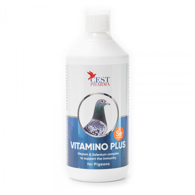 Vitamino Plus 1000 ml - Cest Pharma