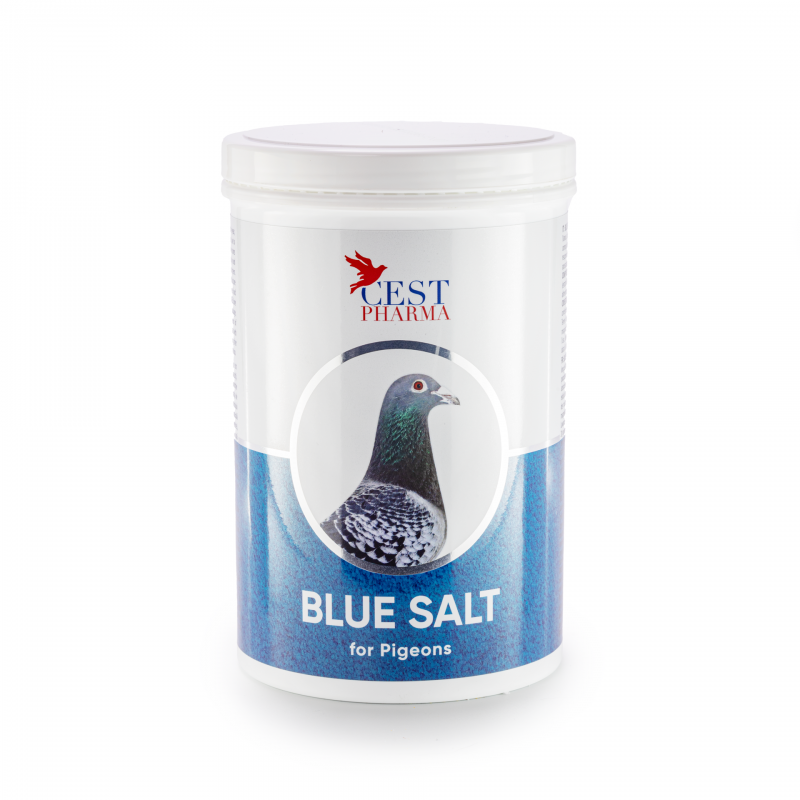 BLUE SALT - 1000g - Cest Pharma