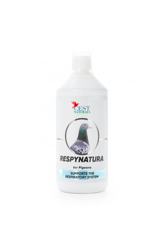 RESPYNATURA 1000ML - Cest Pharma