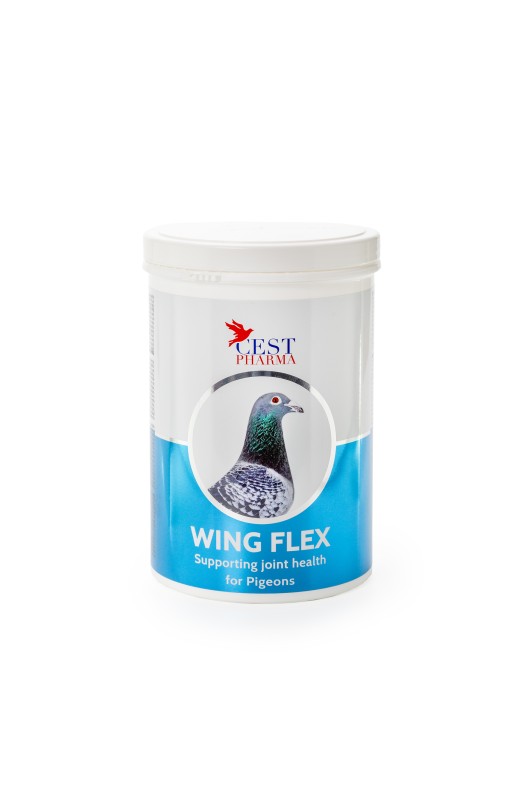 Wing Flex 600GR - Cest Pharma