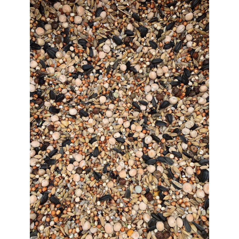 FĂRĂ GRÂU ȘI PORUMB, 20 KG, MÂNCARE PORUMBEI, FEȘTILĂ