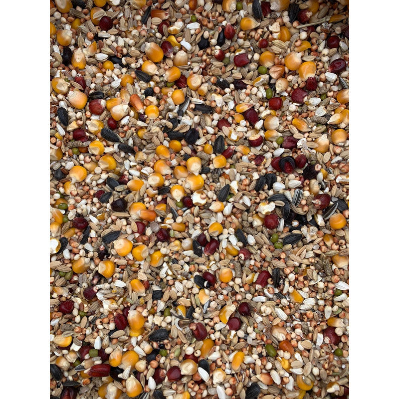 CONCURS FĂRĂ MAZĂRE, 20KG, MÂNCARE PORUMBEI, FEȘTILĂ
