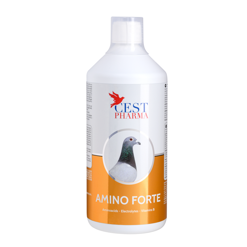 Amino Forte - 1000ml - Cest Pharma