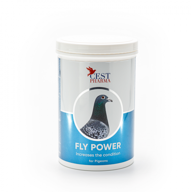 Fly Power - 600g - Cest Pharma