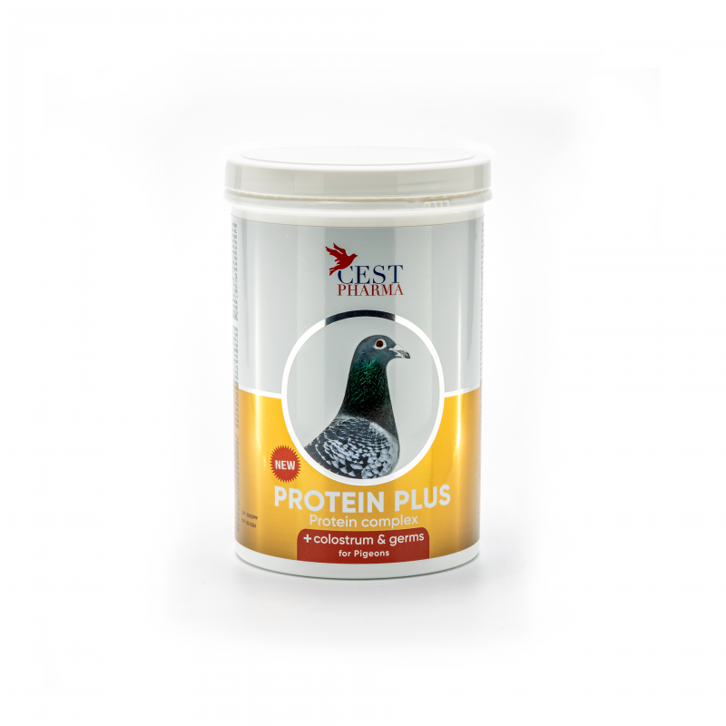 Protein Plus - 600g - Cest Pharma