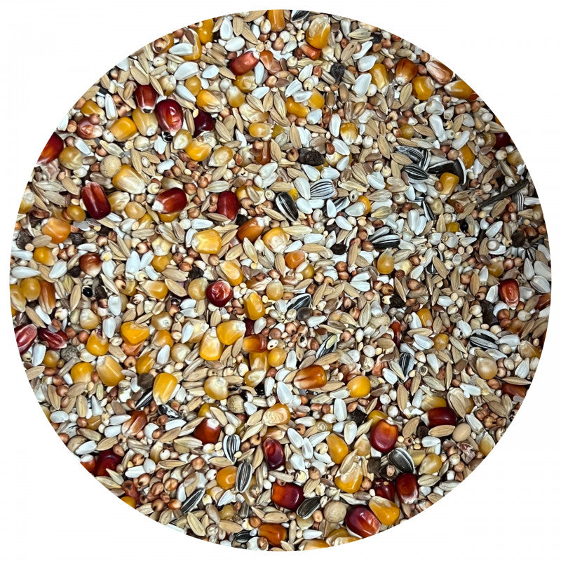 IRISZ MAXI - OIL - CONCURS FARA MAZARE 20KG