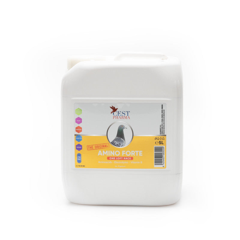 Amino forte One Loft Race 5 Litri - Cest Pharma