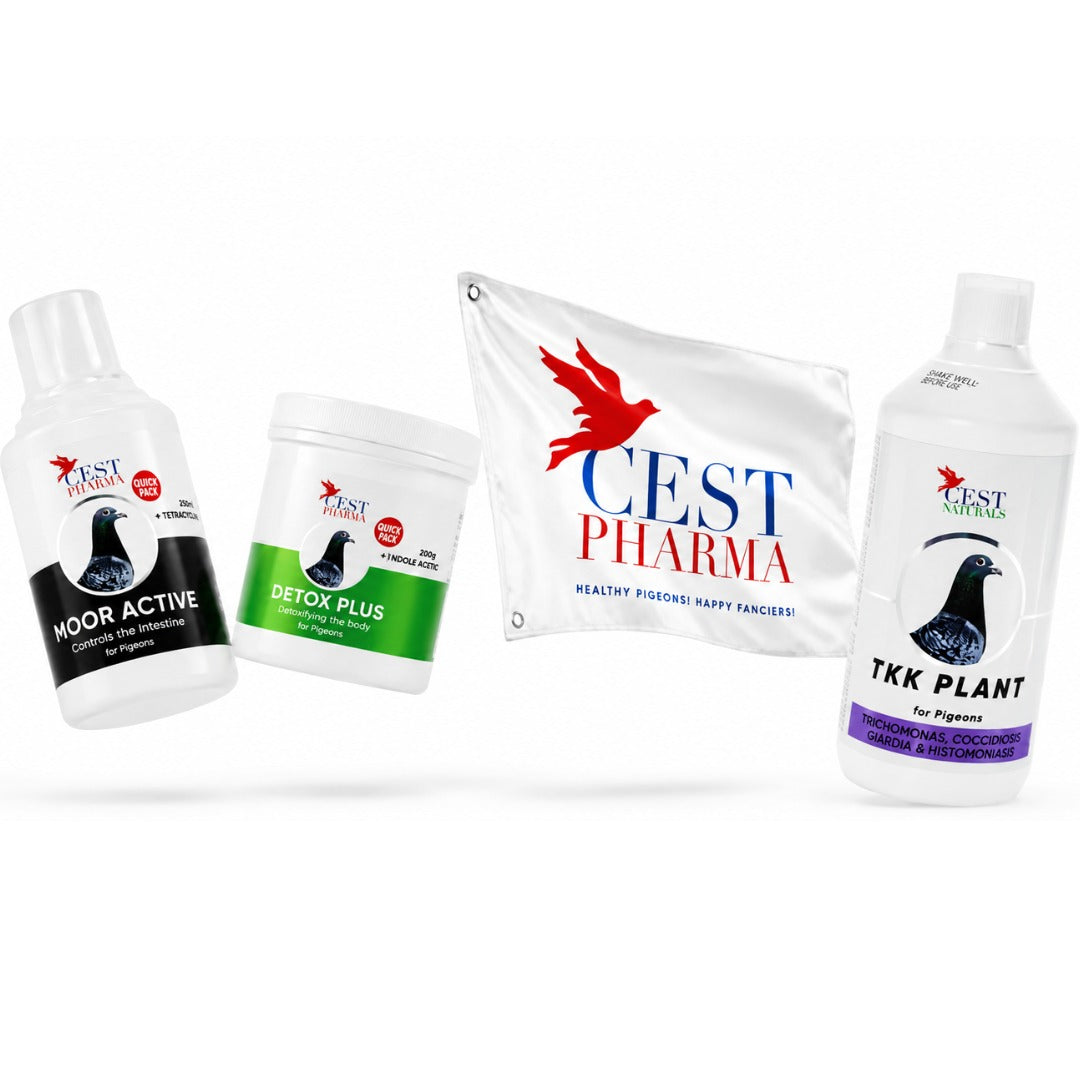 Pachet "Marea Detoxifiere" + Steag Cest Pharma