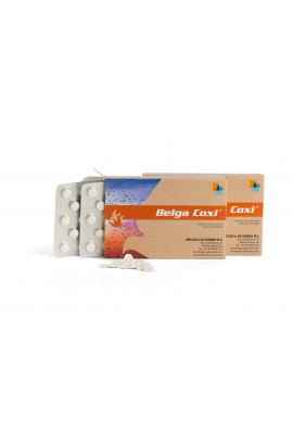 BELGACOXI 50TABLETS